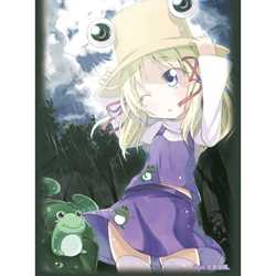 Sleeves - Touhou Project Vol.31 